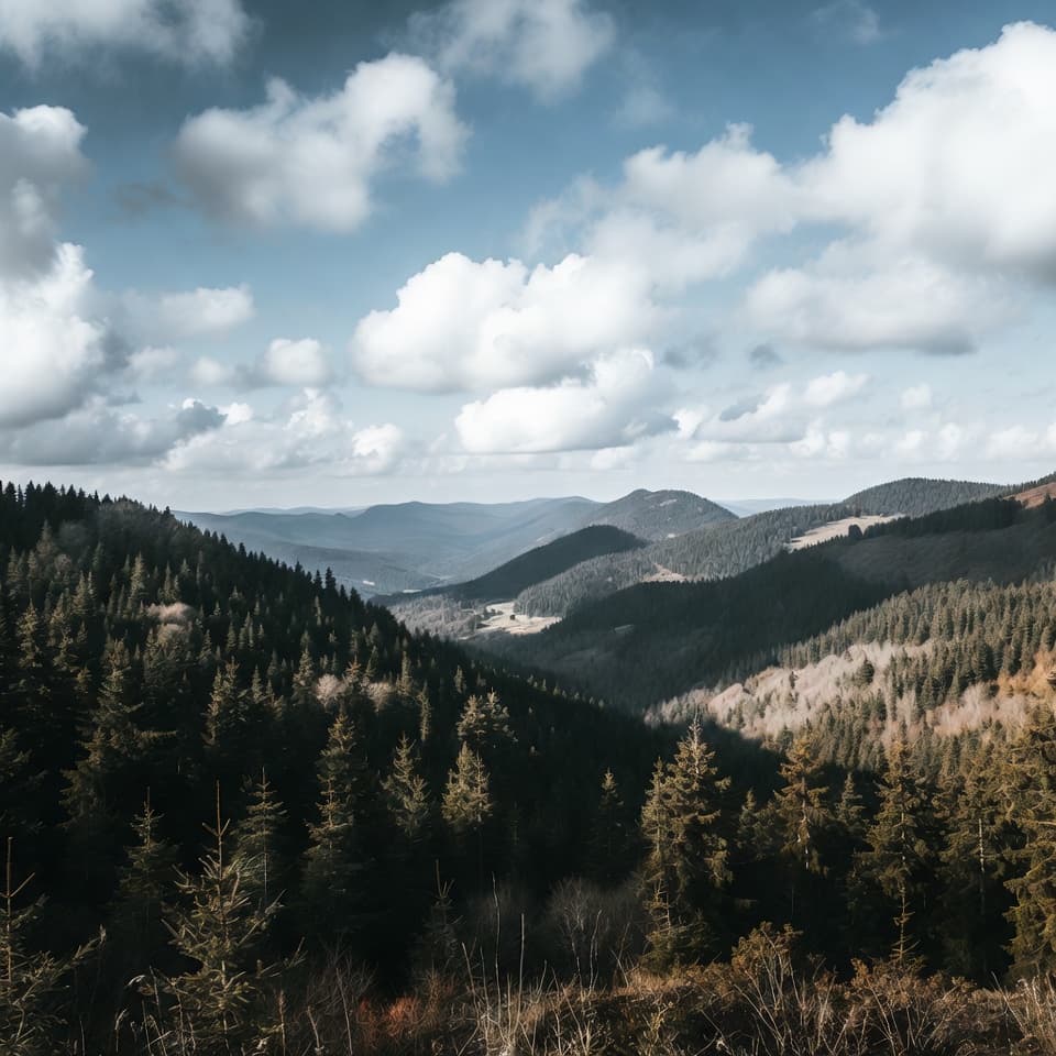 Dzikie Bieszczady z połoninami, lasami i dziewiczą przyrodą