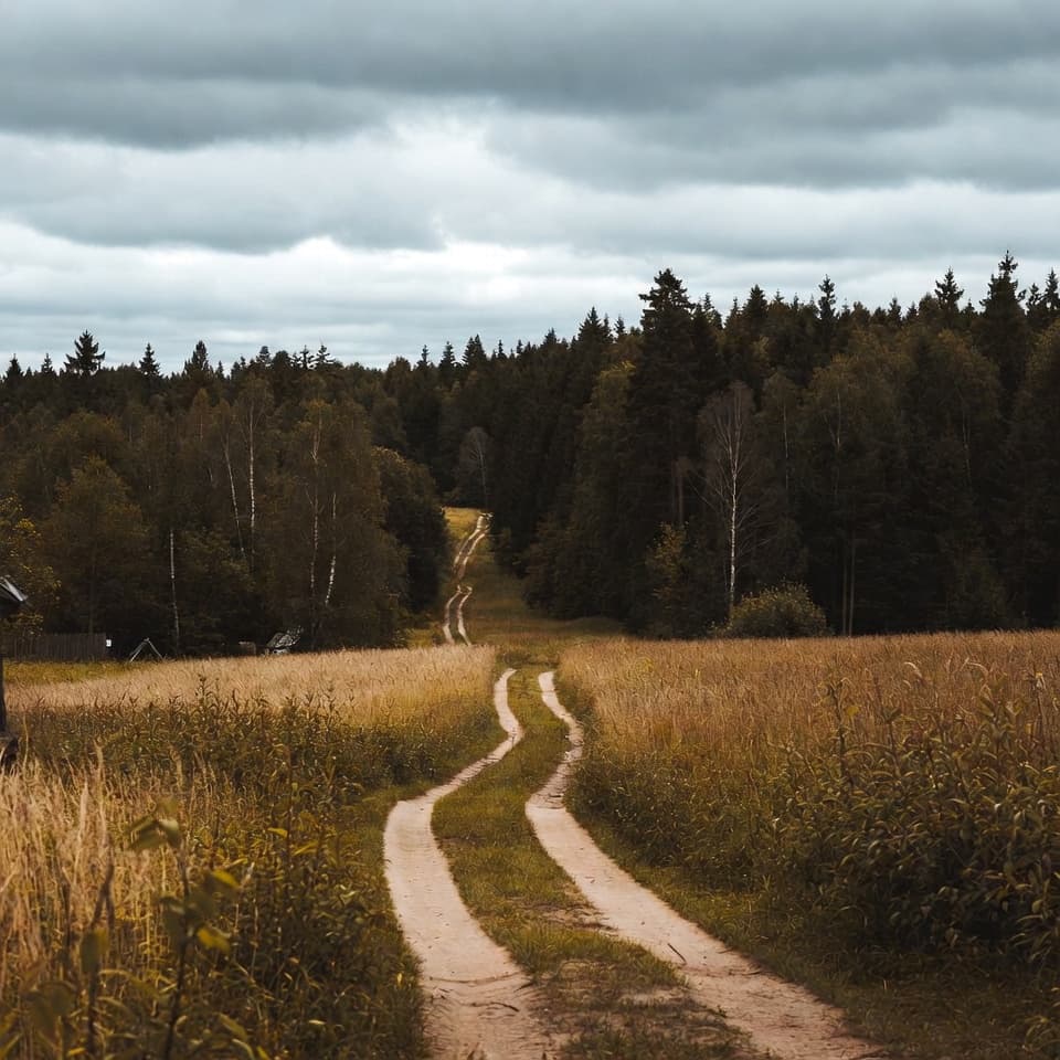 Kaszuby z malowniczymi jeziorami, lasami i tradycyjną kulturą