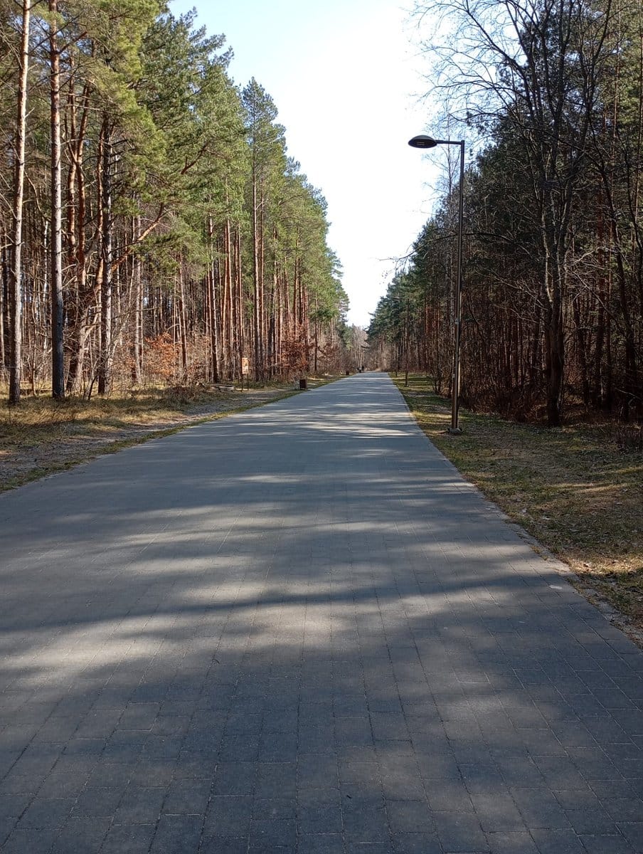 Domki Letniskowe Mojito