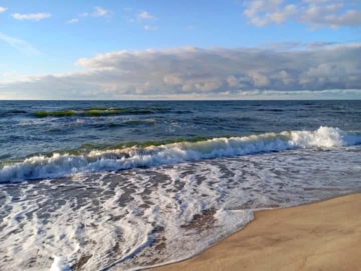 Domki Letniskowe Mojito