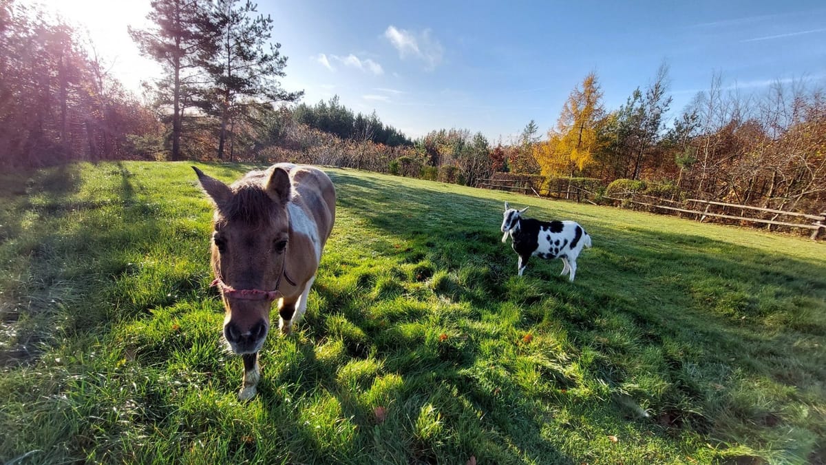 Ośrodek Wypoczynkowy Na Wzgórzu