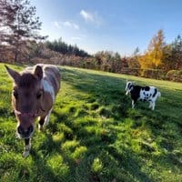 Ośrodek Wypoczynkowy Na Wzgórzu – zdjęcie 22