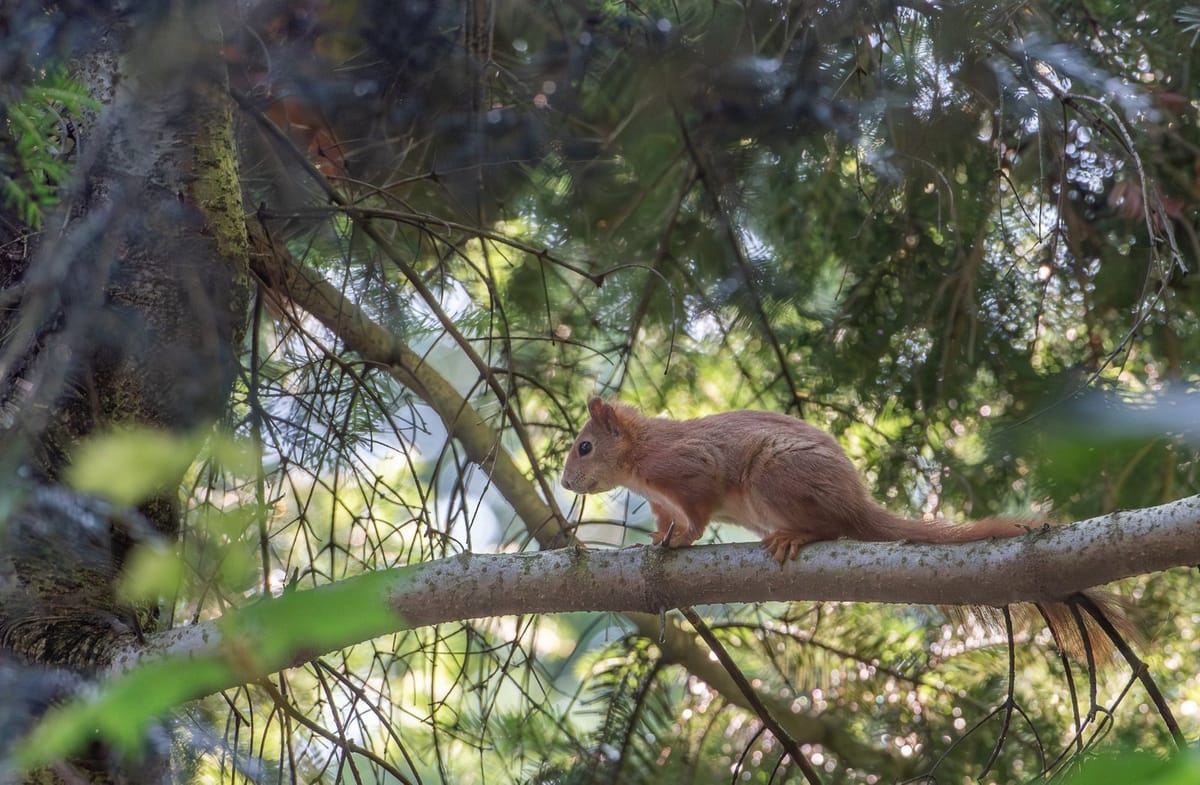 Domek Nad Jeziorem w Górach