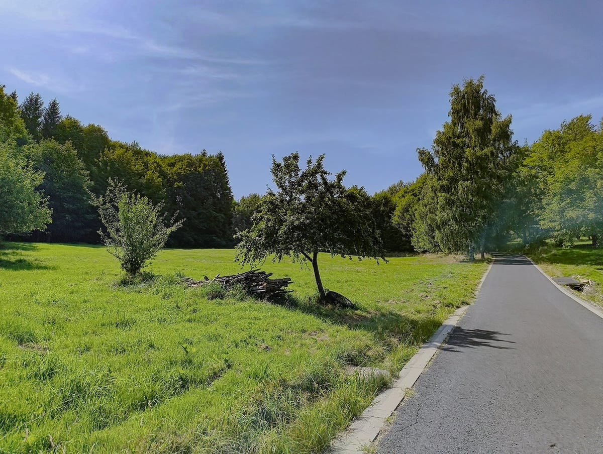Apartament LOTOS