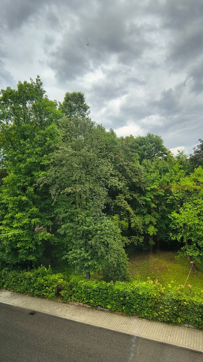 Apartament  Park Zdrojowy Rabka